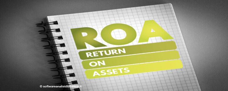 roa return on assets